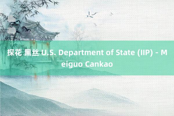 探花 黑丝 U.S. Department of State (IIP) - Meiguo Cankao