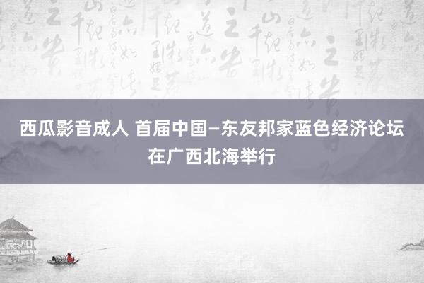 西瓜影音成人 首届中国—东友邦家蓝色经济论坛在广西北海举行