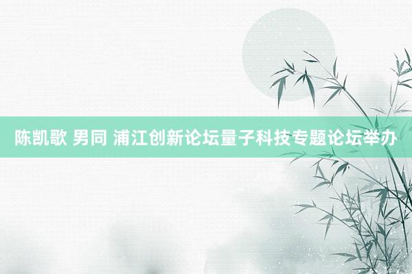 陈凯歌 男同 浦江创新论坛量子科技专题论坛举办