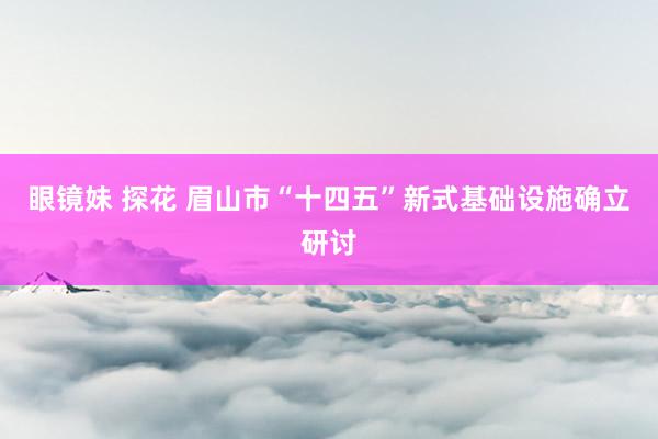 眼镜妹 探花 眉山市“十四五”新式基础设施确立研讨