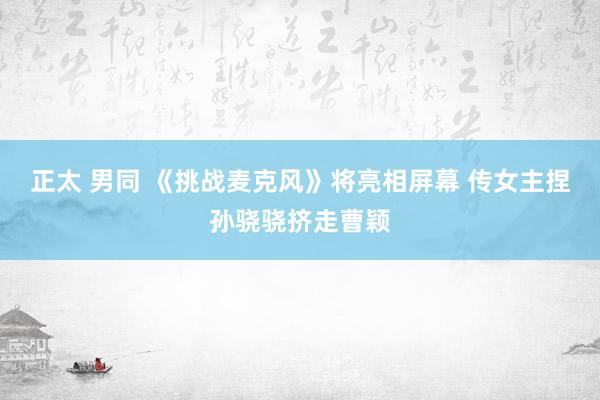 正太 男同 《挑战麦克风》将亮相屏幕 传女主捏孙骁骁挤走曹颖