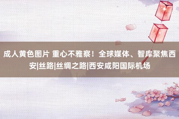 成人黄色图片 重心不雅察！全球媒体、智库聚焦西安|丝路|丝绸之路|西安咸阳国际机场