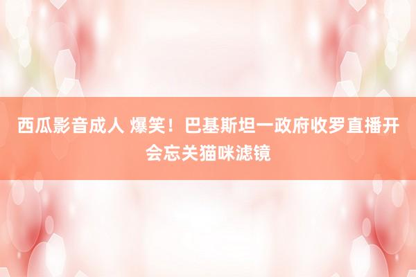 西瓜影音成人 爆笑！巴基斯坦一政府收罗直播开会忘关猫咪滤镜