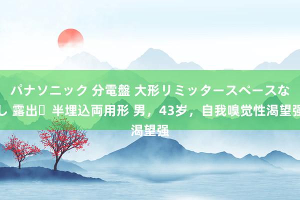 パナソニック 分電盤 大形リミッタースペースなし 露出・半埋込両用形 男，43岁，自我嗅觉性渴望强