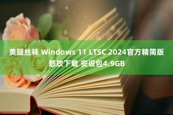 美腿丝袜 Windows 11 LTSC 2024官方精简版怒放下载 安设包4.9GB