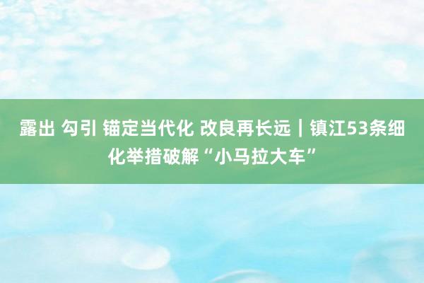 露出 勾引 锚定当代化 改良再长远｜镇江53条细化举措破解“小马拉大车”