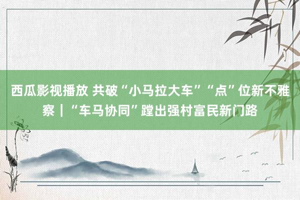 西瓜影视播放 共破“小马拉大车”“点”位新不雅察｜“车马协同”蹚出强村富民新门路