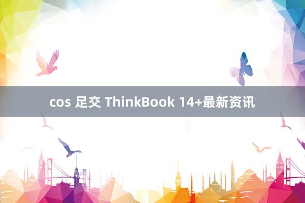 cos 足交 ThinkBook 14+最新资讯