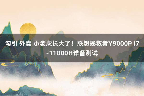 勾引 外卖 小老虎长大了！联想拯救者Y9000P i7-11800H详备测试