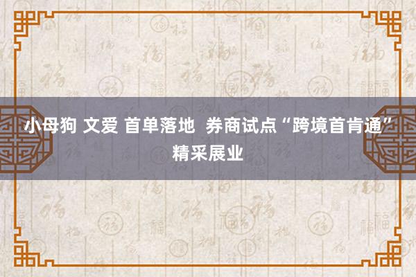 小母狗 文爱 首单落地  券商试点“跨境首肯通”精采展业