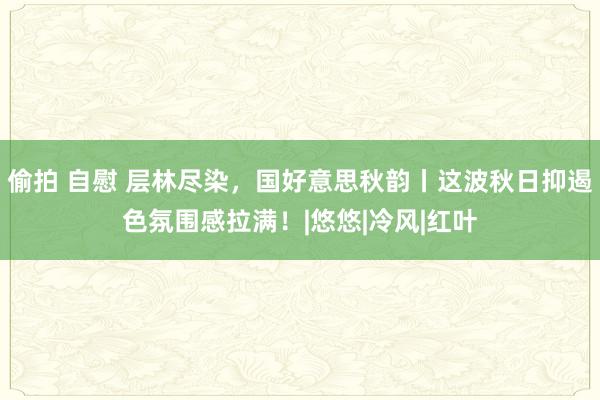 偷拍 自慰 层林尽染，国好意思秋韵丨这波秋日抑遏色氛围感拉满！|悠悠|冷风|红叶