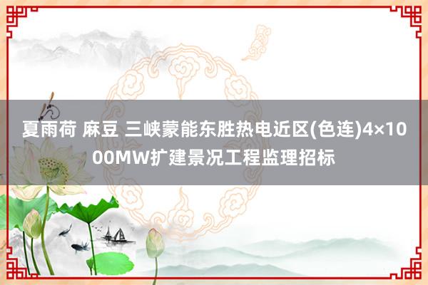 夏雨荷 麻豆 三峡蒙能东胜热电近区(色连)4×1000MW扩建景况工程监理招标